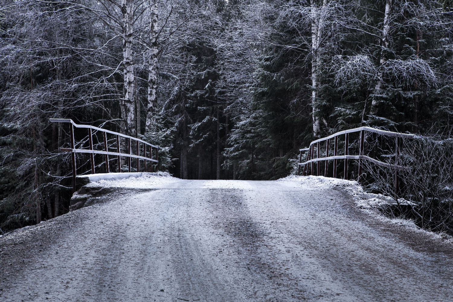 The Bridge